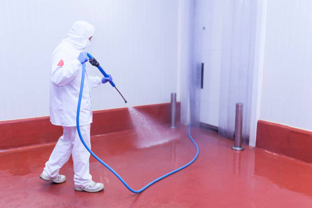 Best Solar Panel Cleaning  in Sherman, TX